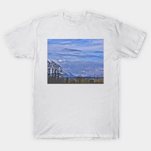 Secret Hills T-Shirt